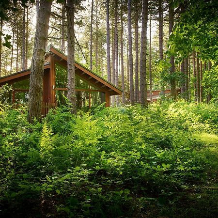Blackwood Forest Cabins - Forest Holidays Popham Eksteriør bilde