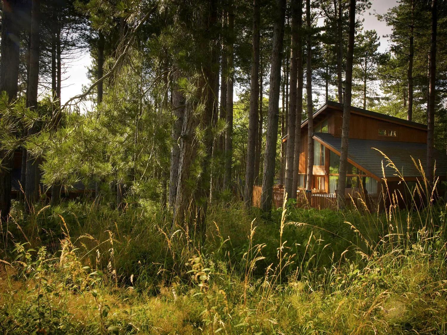 Blackwood Forest Cabins - Forest Holidays Popham Eksteriør bilde