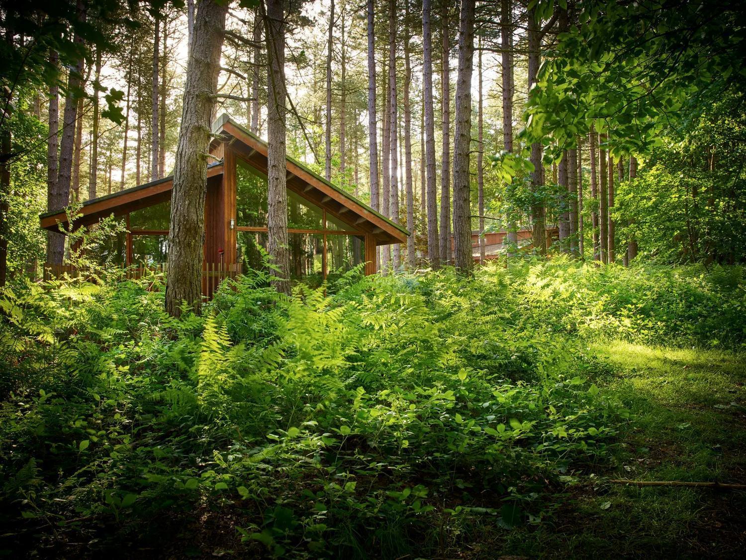 Blackwood Forest Cabins - Forest Holidays Popham Eksteriør bilde
