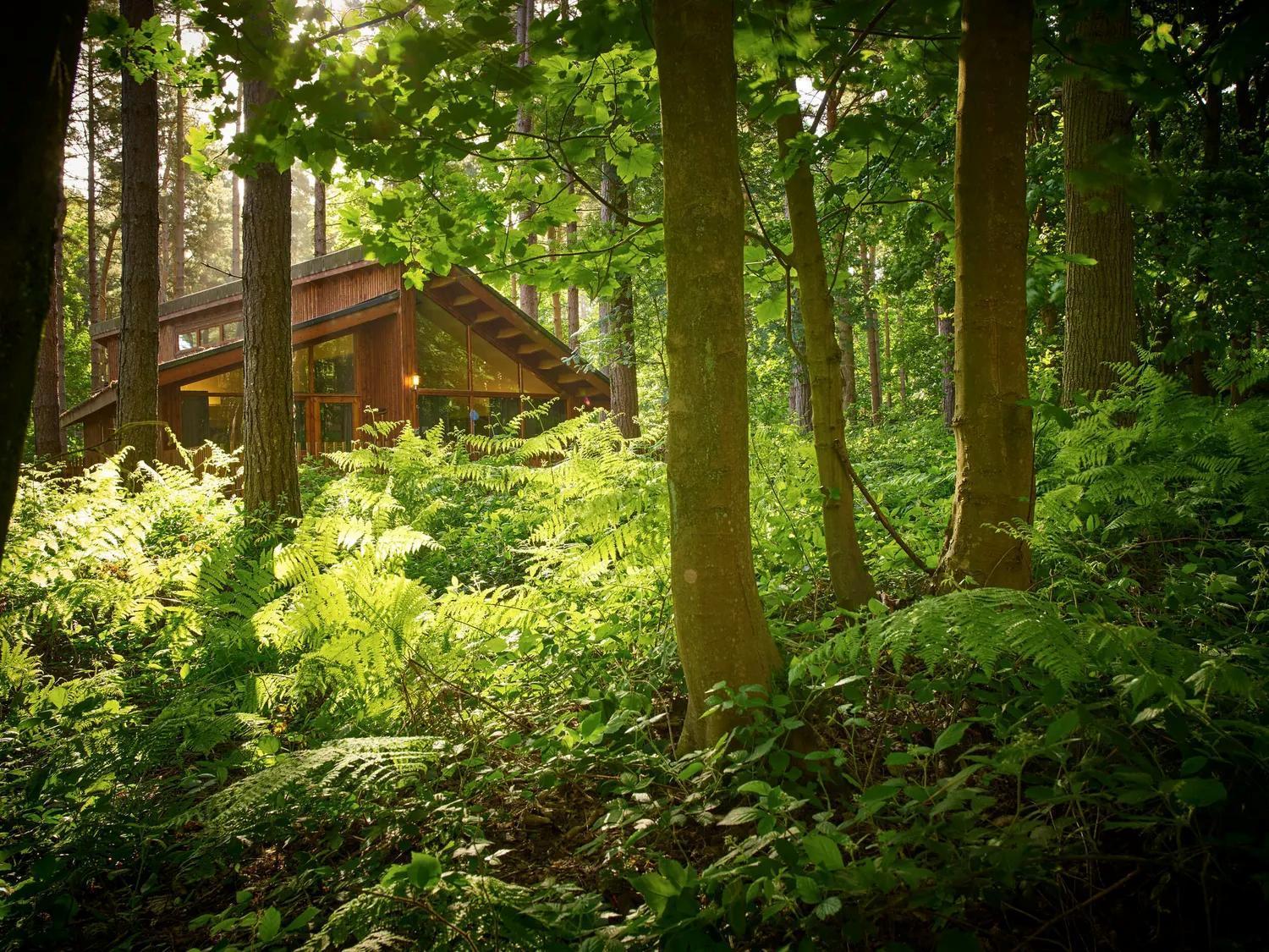 Blackwood Forest Cabins - Forest Holidays Popham Eksteriør bilde