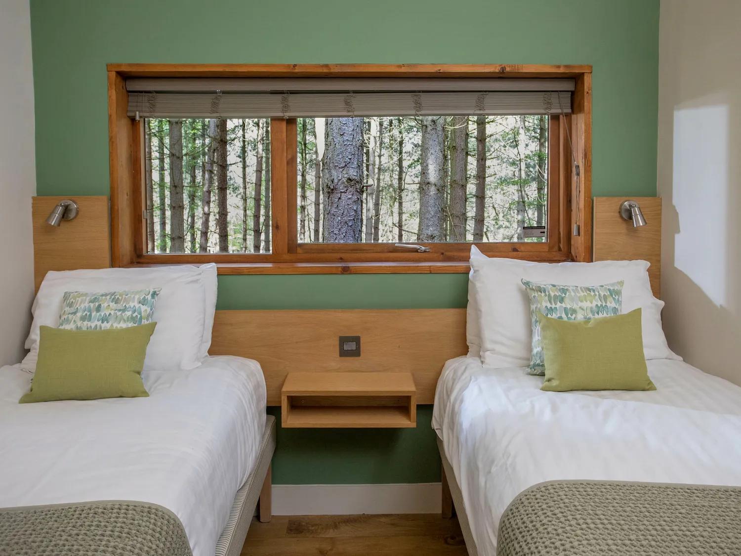 Blackwood Forest Cabins - Forest Holidays Popham Eksteriør bilde