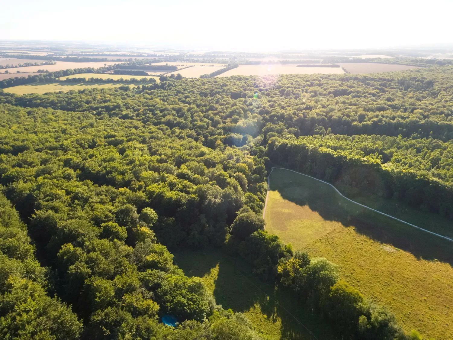 Blackwood Forest Cabins - Forest Holidays Popham Eksteriør bilde