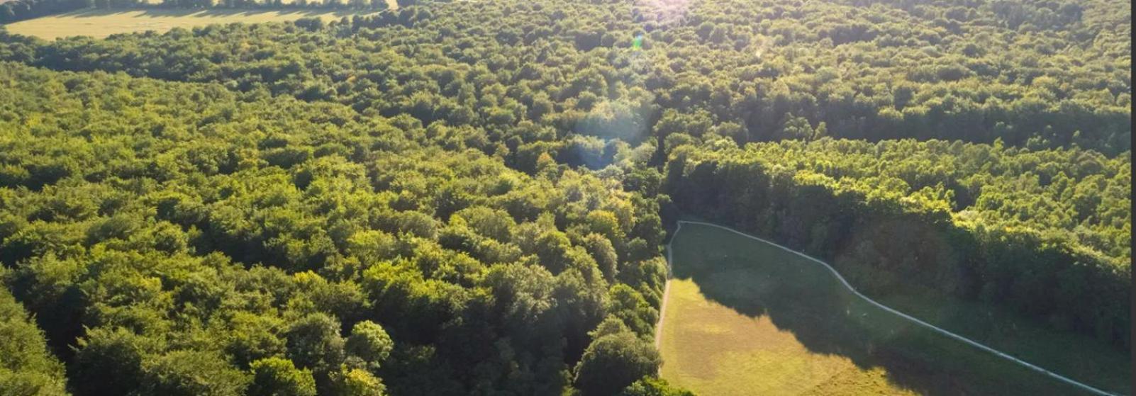 Blackwood Forest Cabins - Forest Holidays Popham Eksteriør bilde