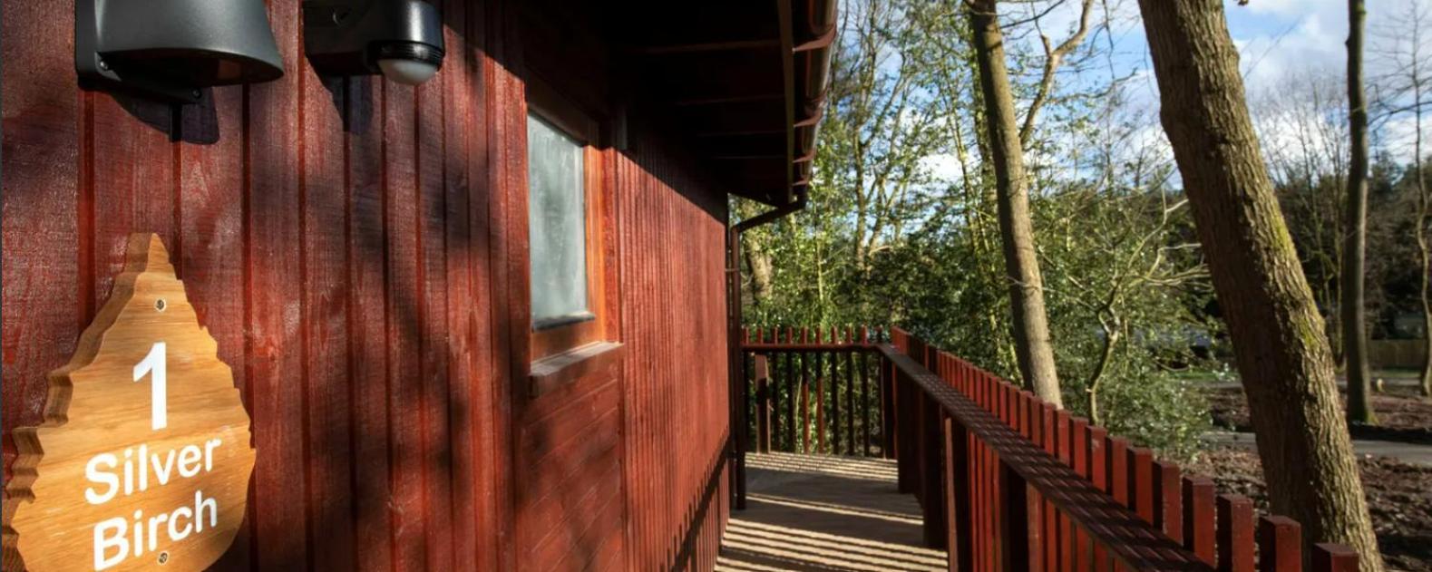 Blackwood Forest Cabins - Forest Holidays Popham Eksteriør bilde
